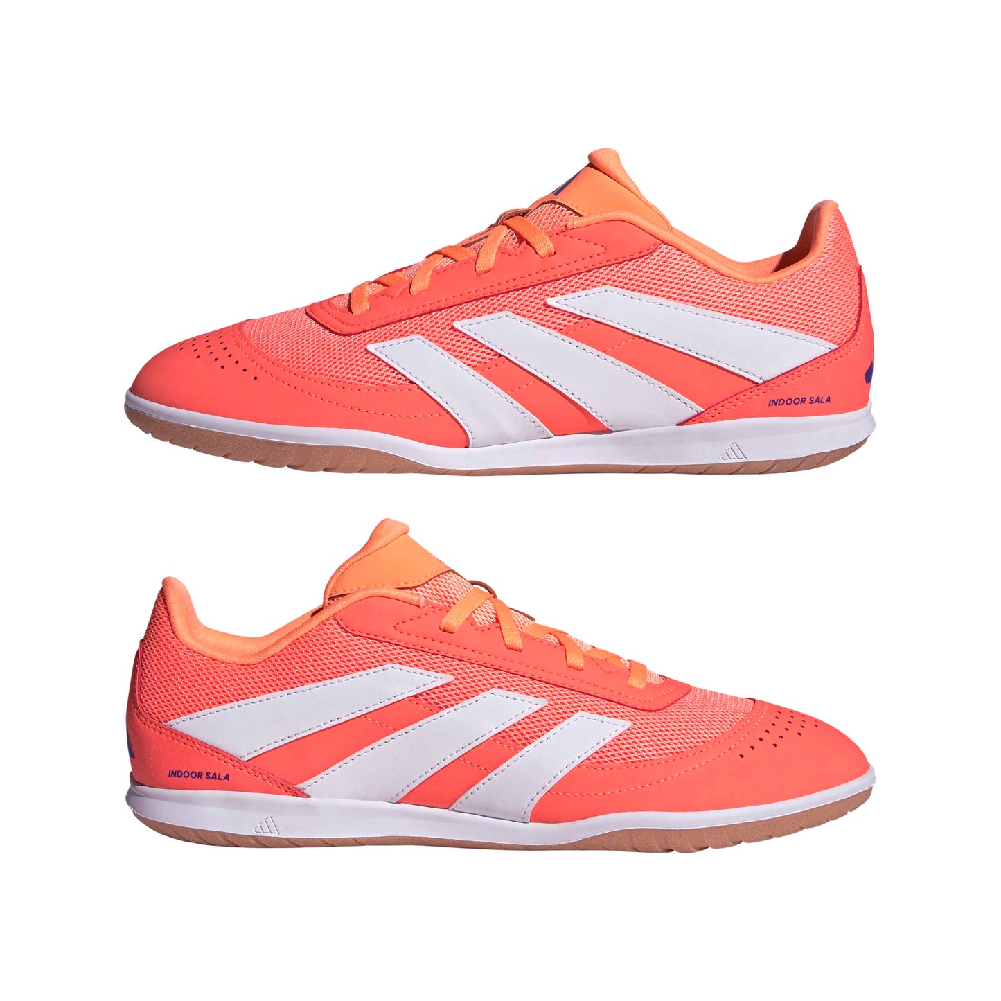 PREDATOR CLUB IN SALA