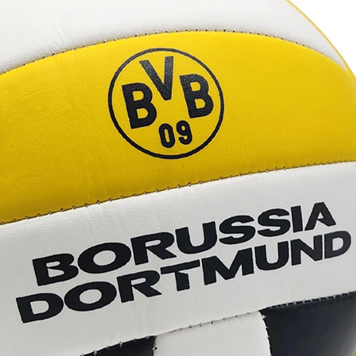 BVB Volleyball