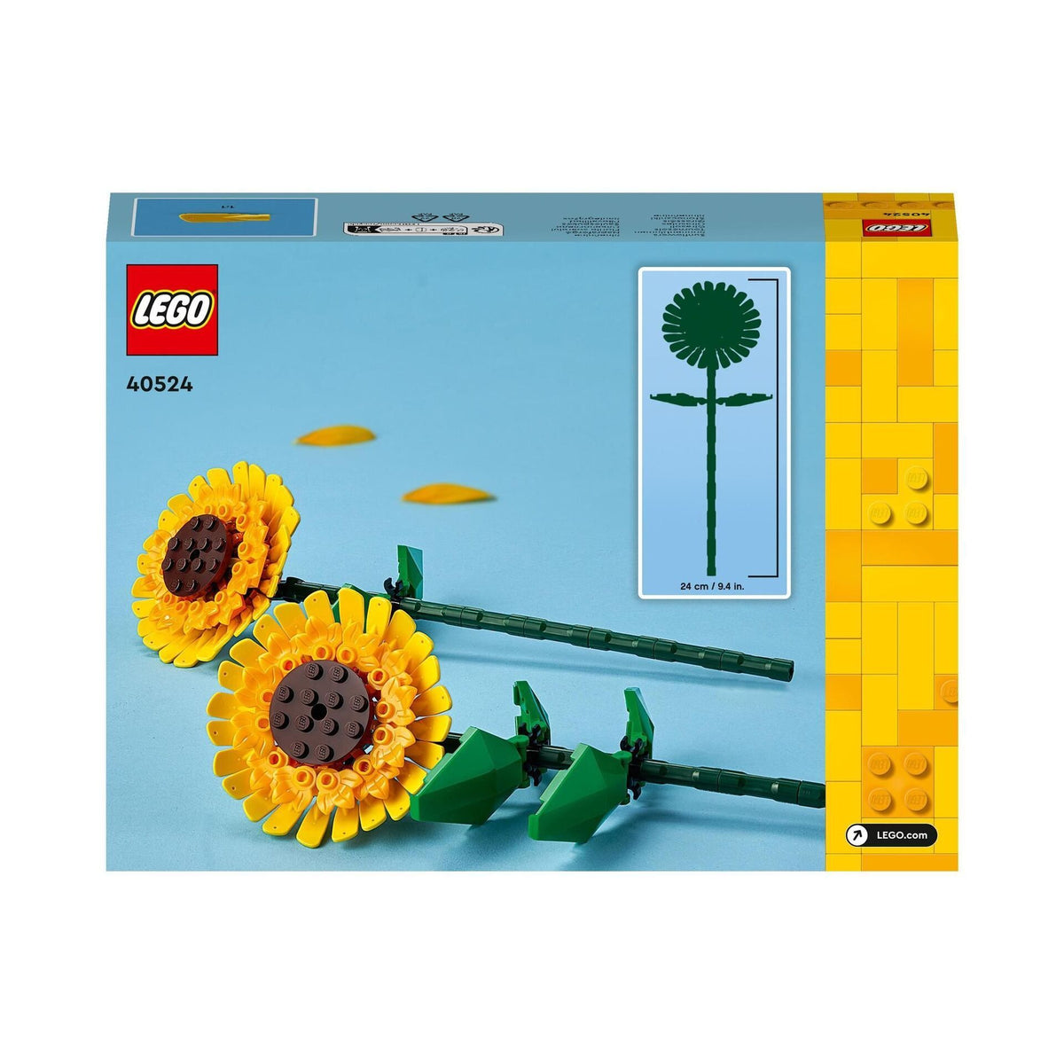 Creator Sonnenblumen