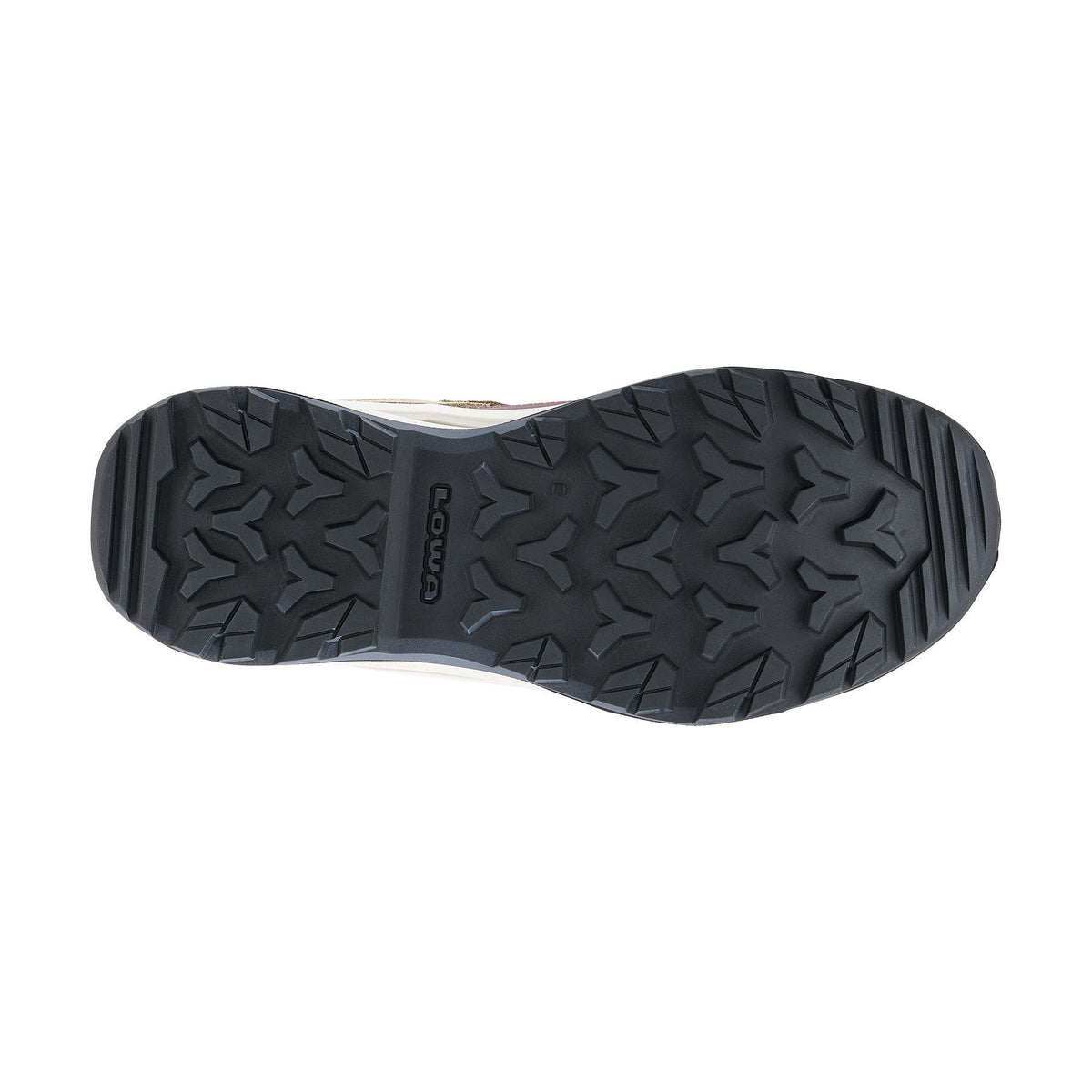 VENTIERRA GTX LO Ws