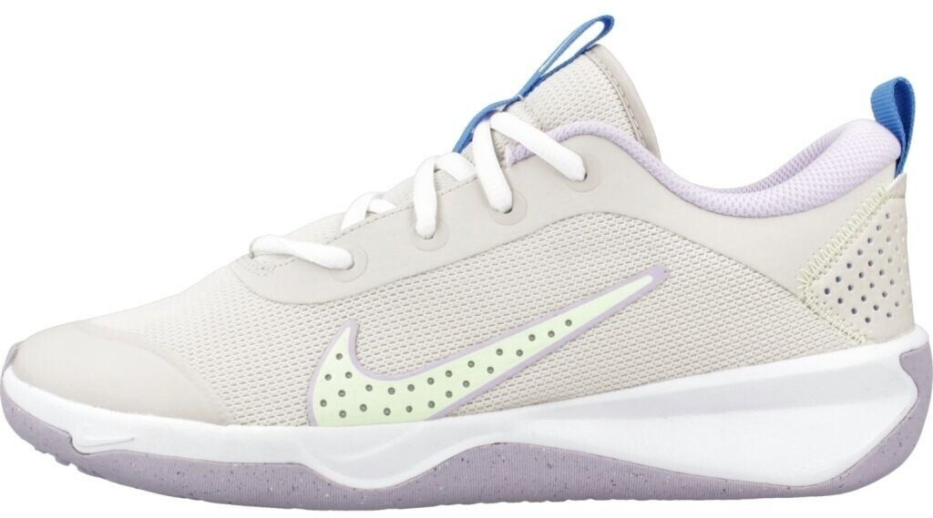 Nike Omni Multi-Court Big Kids