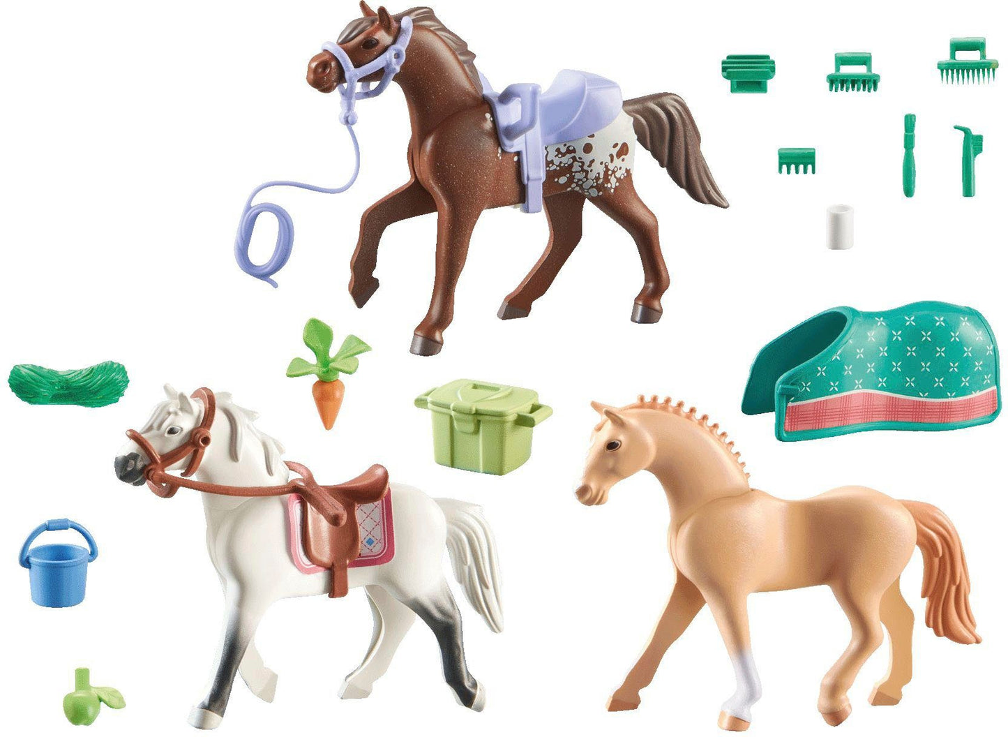 3 Pferde: Morgan, Quarter Horse & Shagya