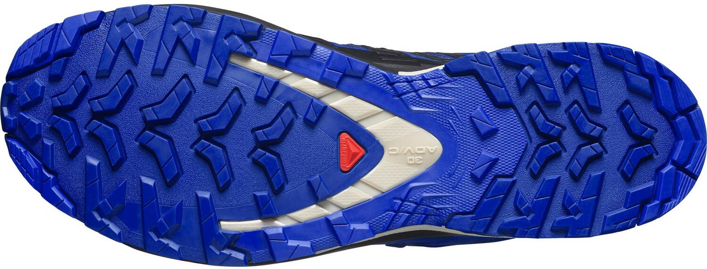 Schuhe XA PRO 3D V9 GTX Bluepr
