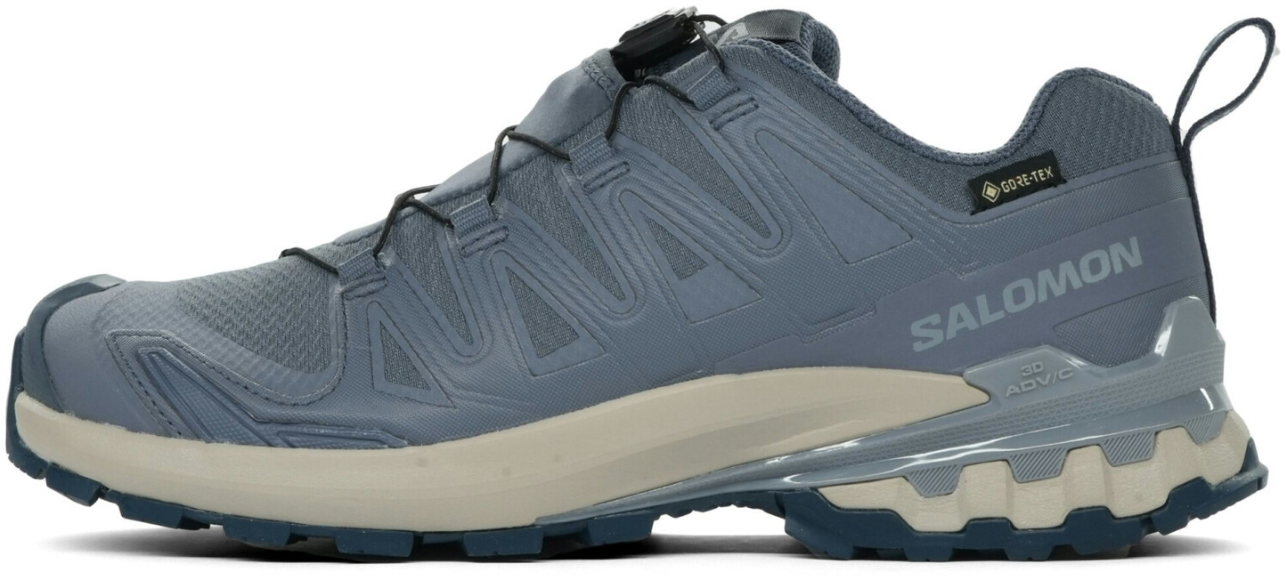 Schuhe XA PRO 3D V9 GTX W Gris
