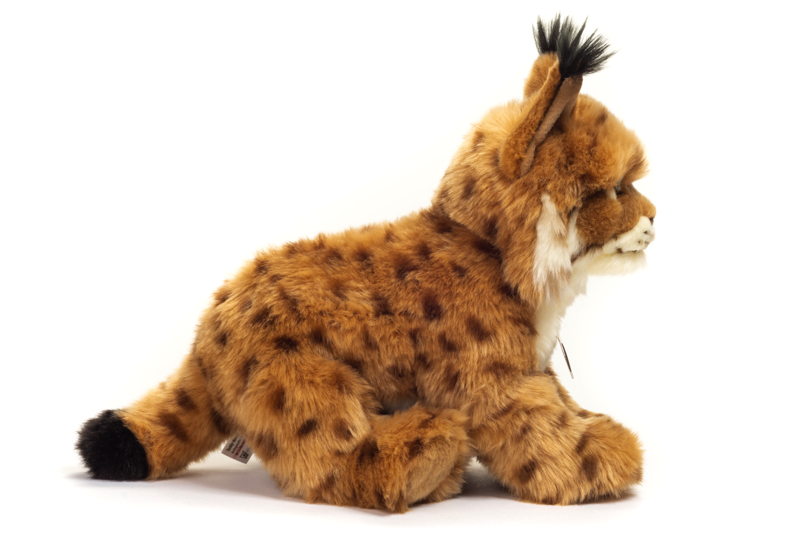 Luchs 26cm