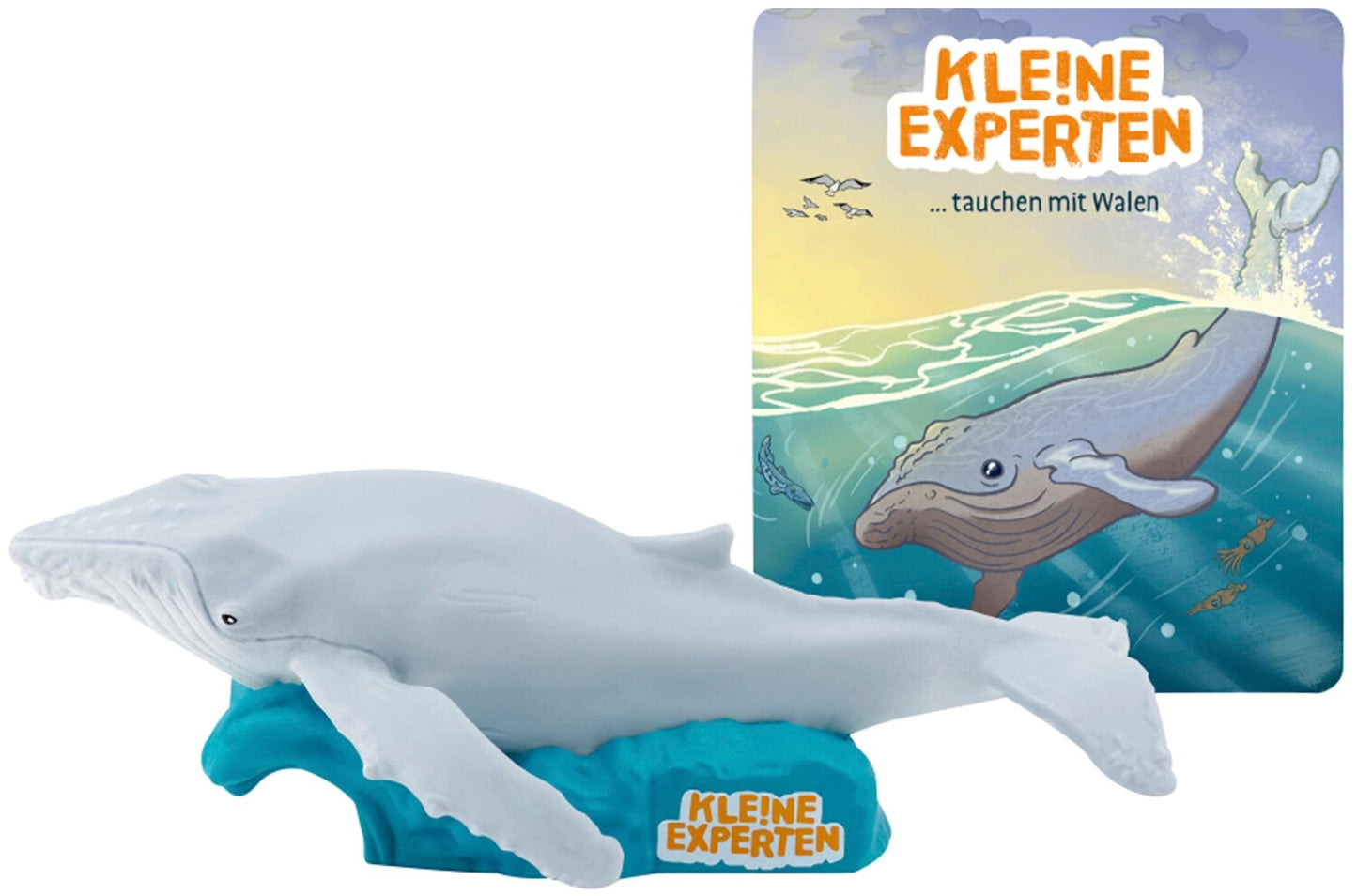 Keine Experten-...tau