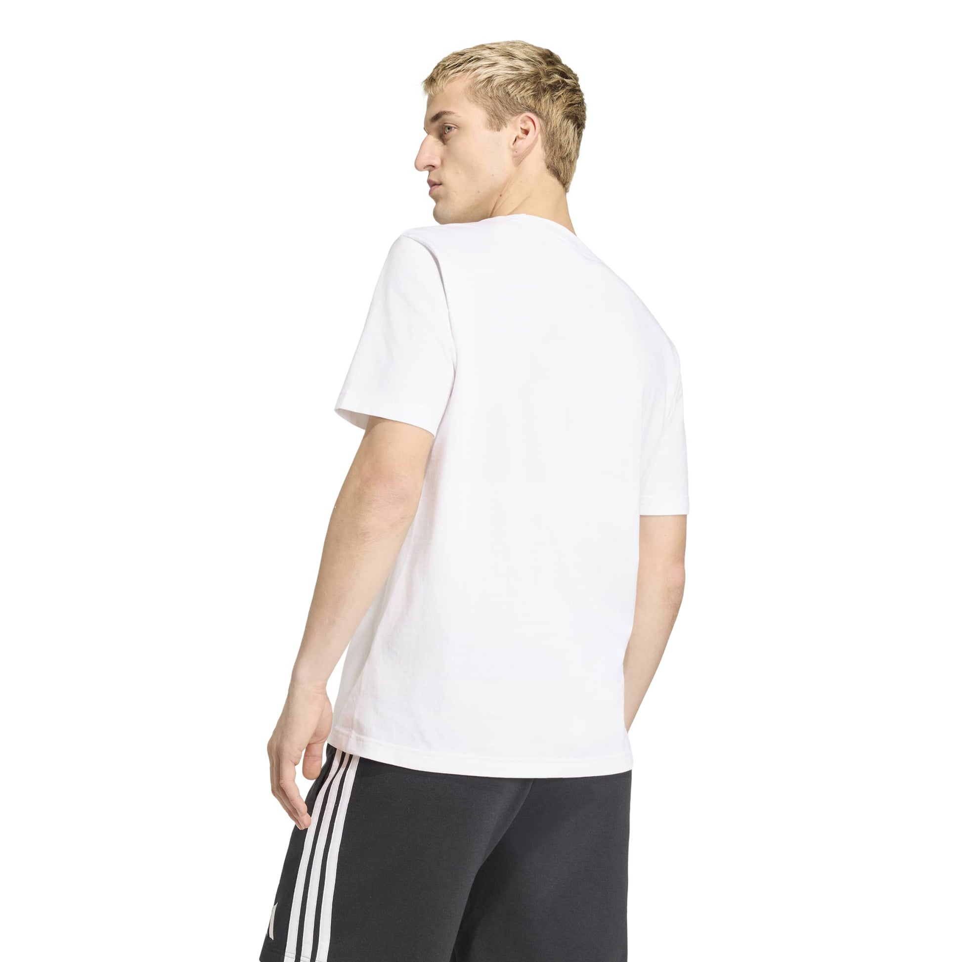 DFB DNA GR TEE