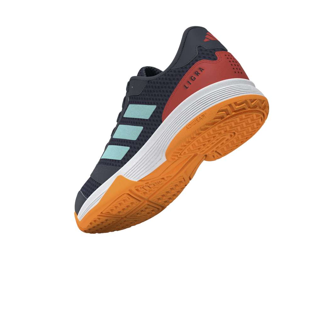 Ligra 8 K