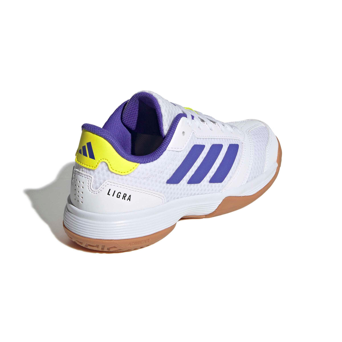 Ligra 8 K