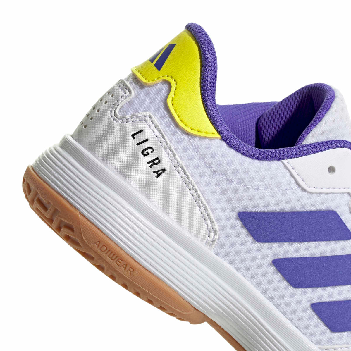 Ligra 8 K