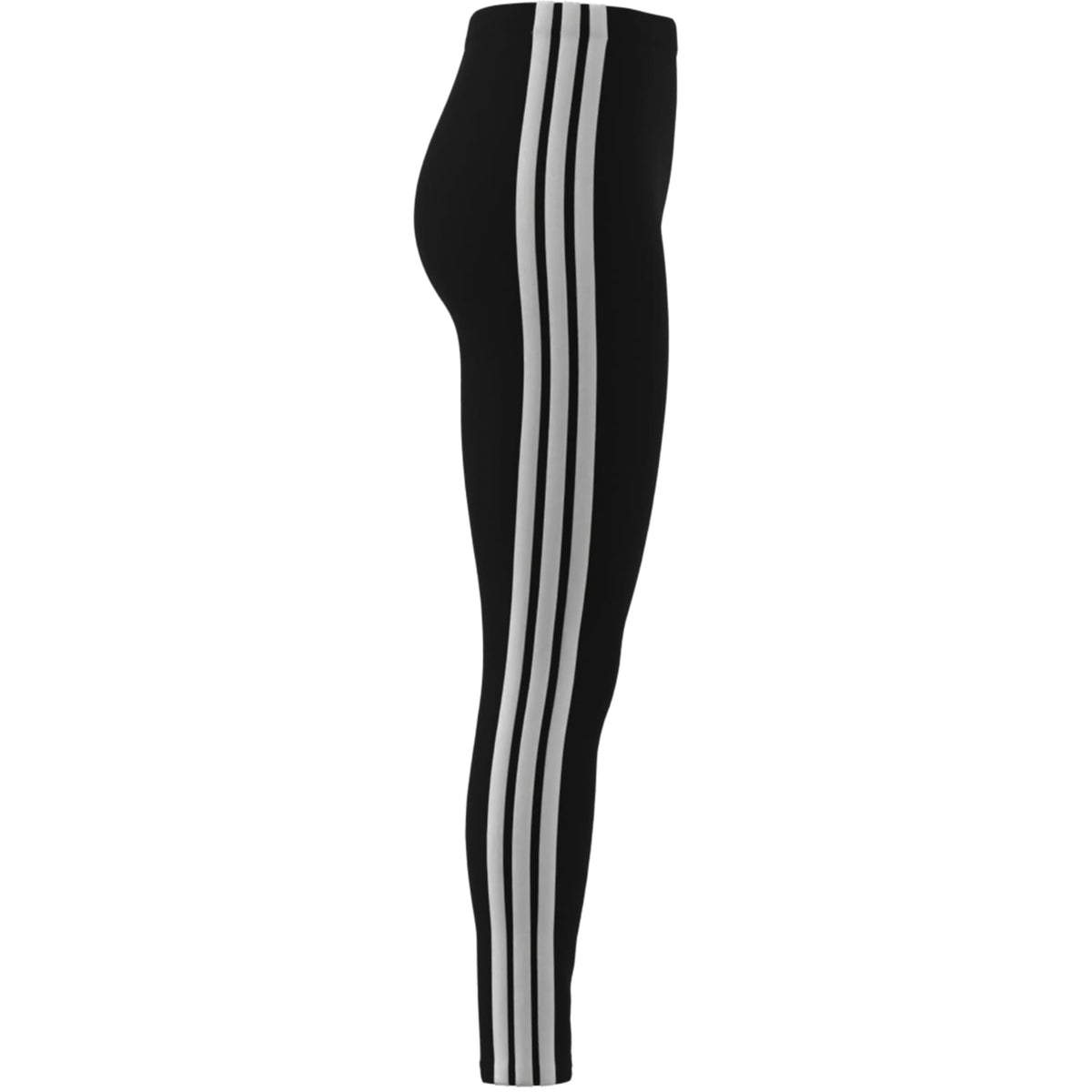 W 3S SJ LEG