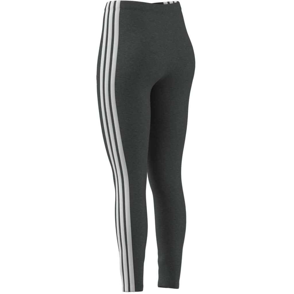 W 3S SJ LEG