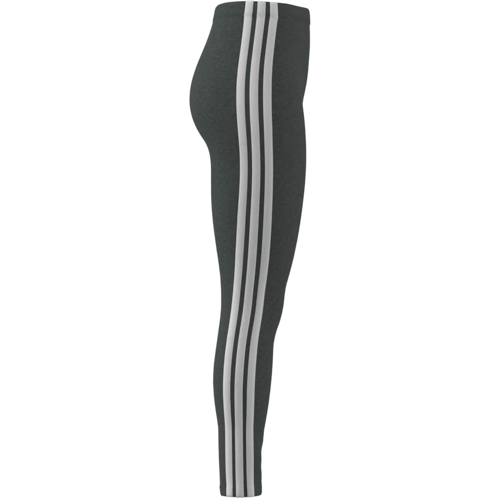 W 3S SJ LEG