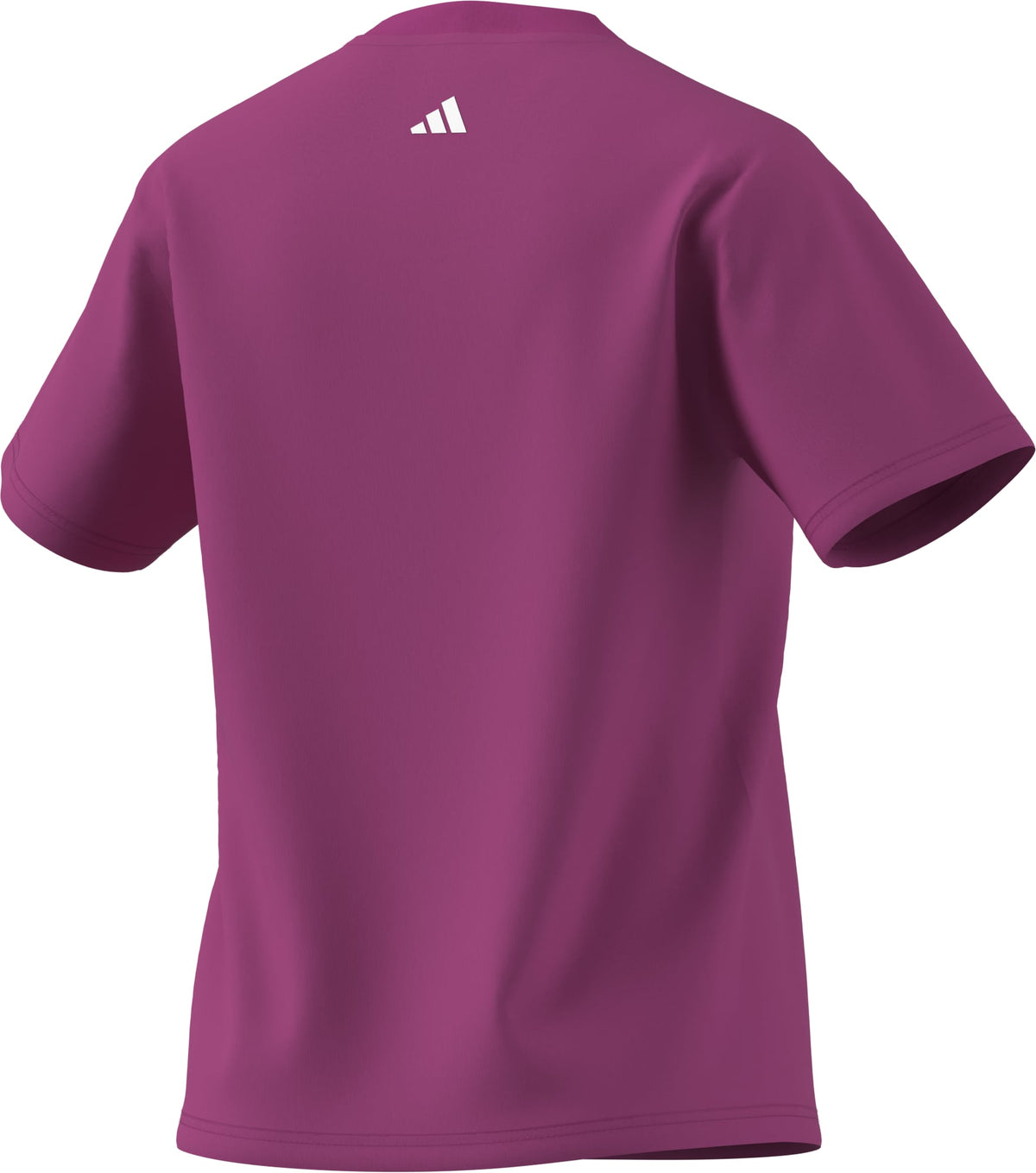 W SC CURSIVE T