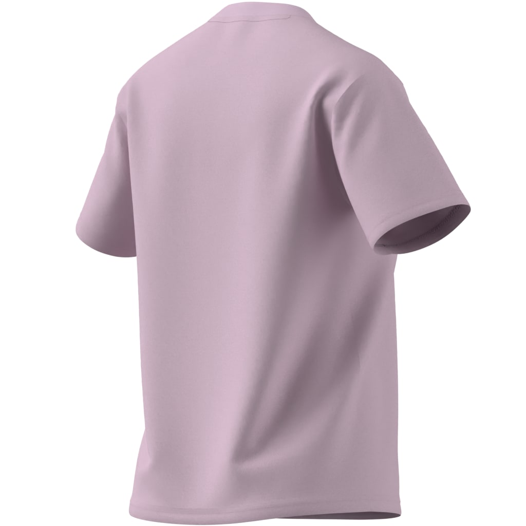 W SOFTS T 1