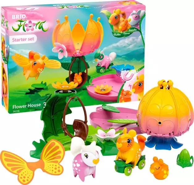 Starter-Set Blumenhaus