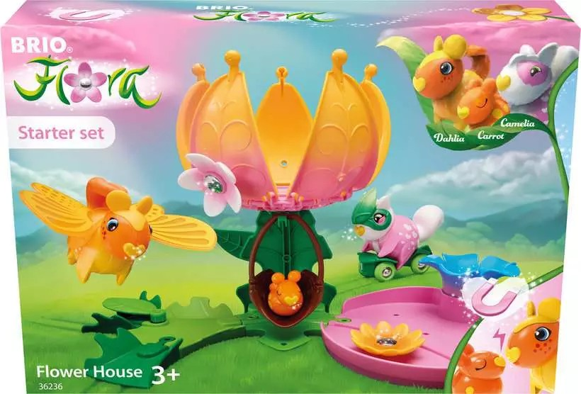 Starter-Set Blumenhaus
