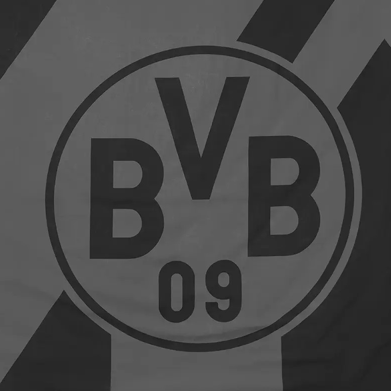 BVB Bettwäsche grau/schwarz