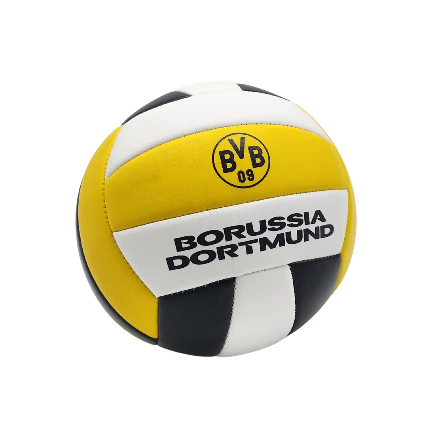 BVB Volleyball