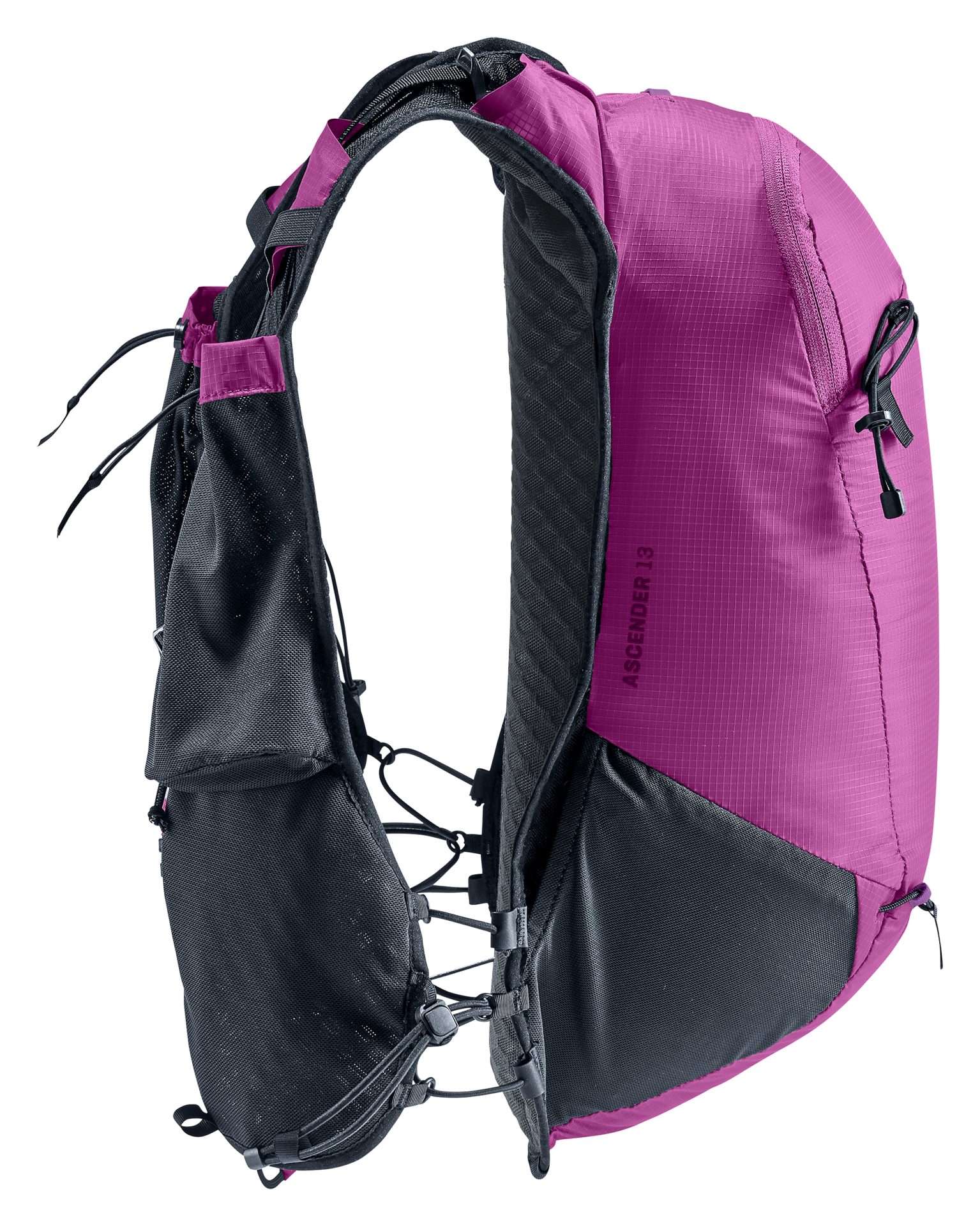 Ascender 13