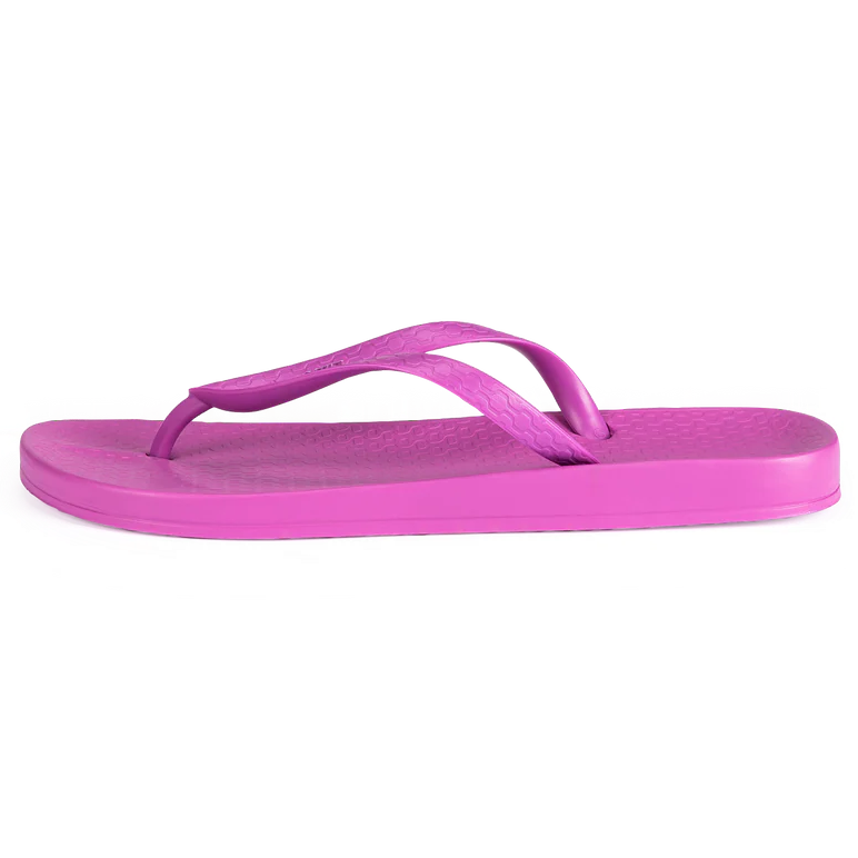Anat Colors FEM