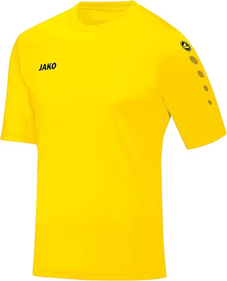 Trikot Team KA