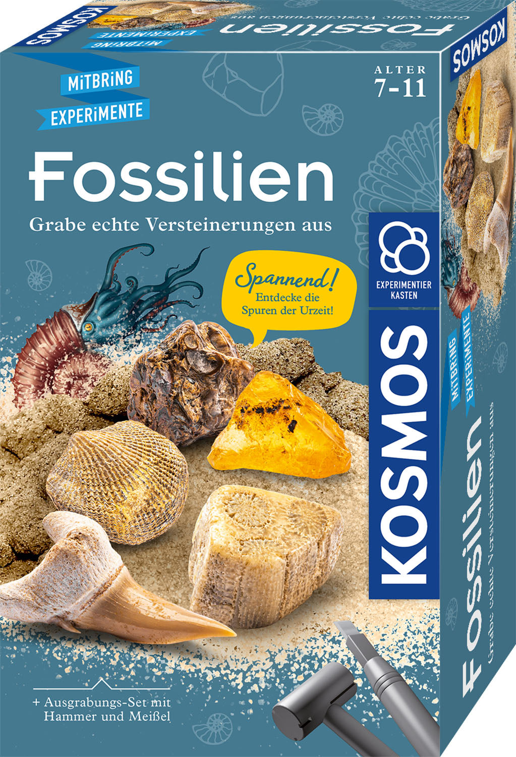 Fossilien schwarz