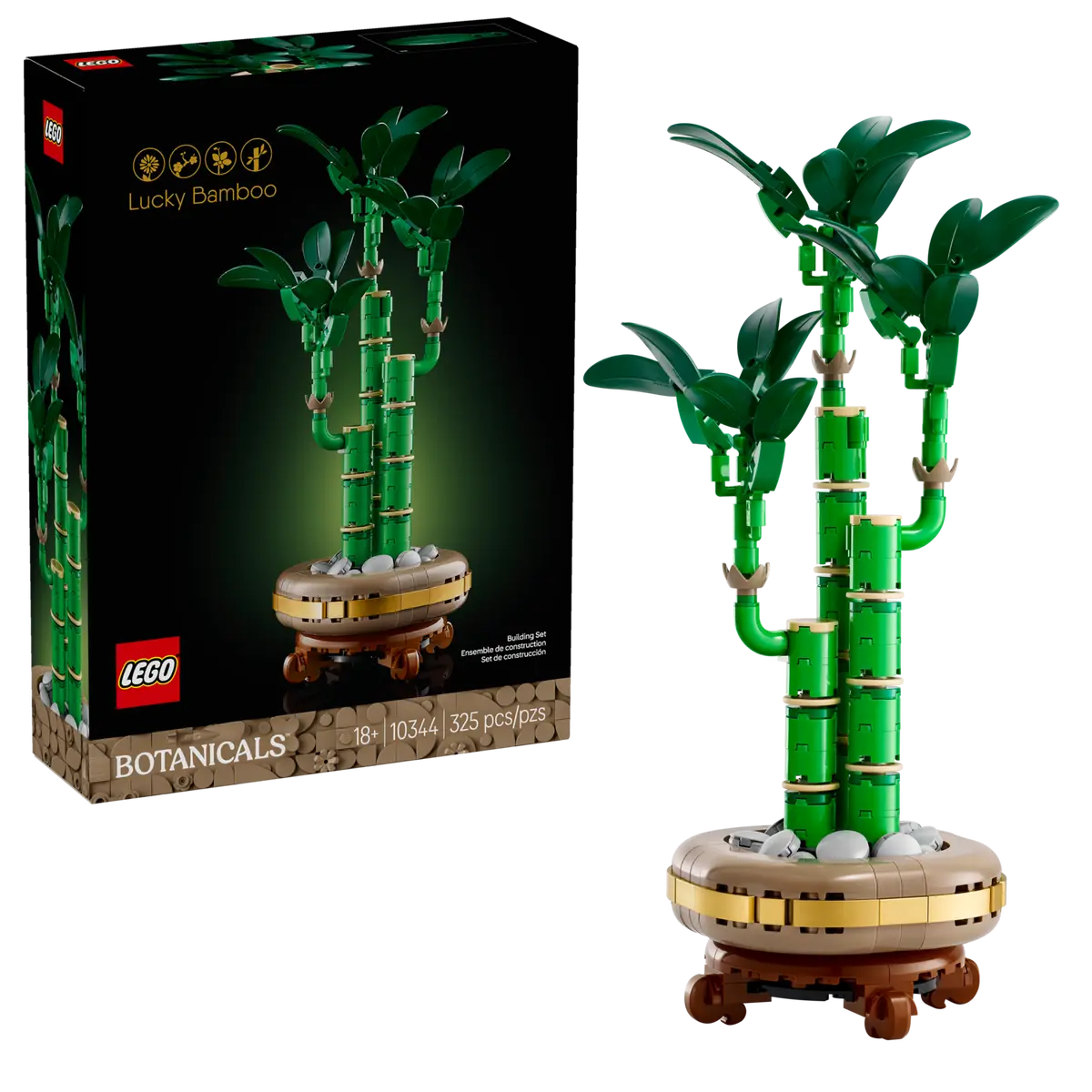 Botanical Glücks-Bambus