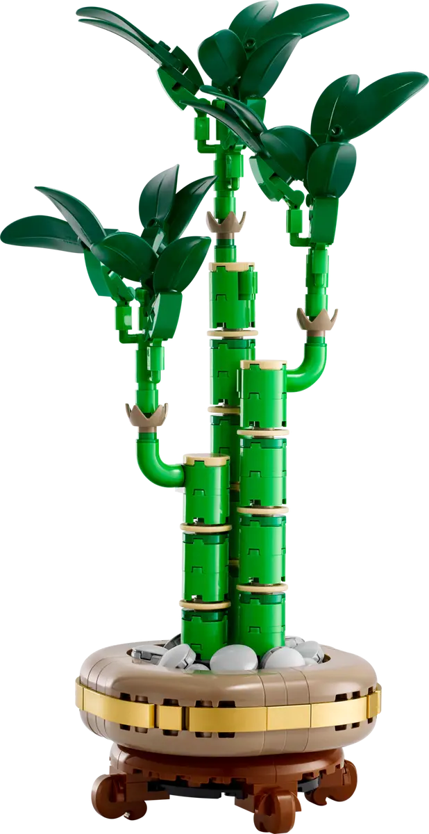 Botanical Glücks-Bambus