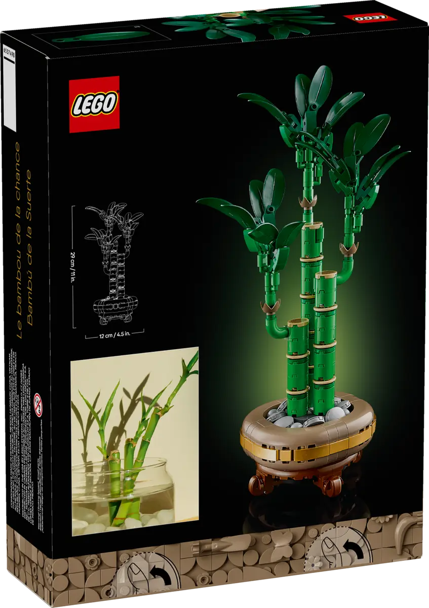 Botanical Glücks-Bambus