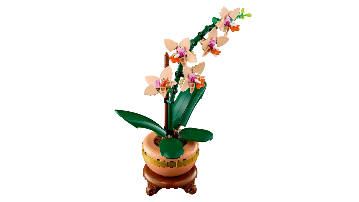 Botanical Mini-Orchidee