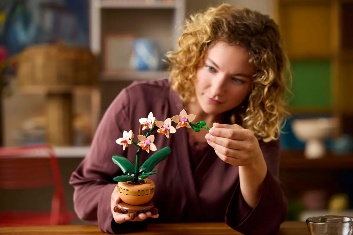 Botanical Mini-Orchidee
