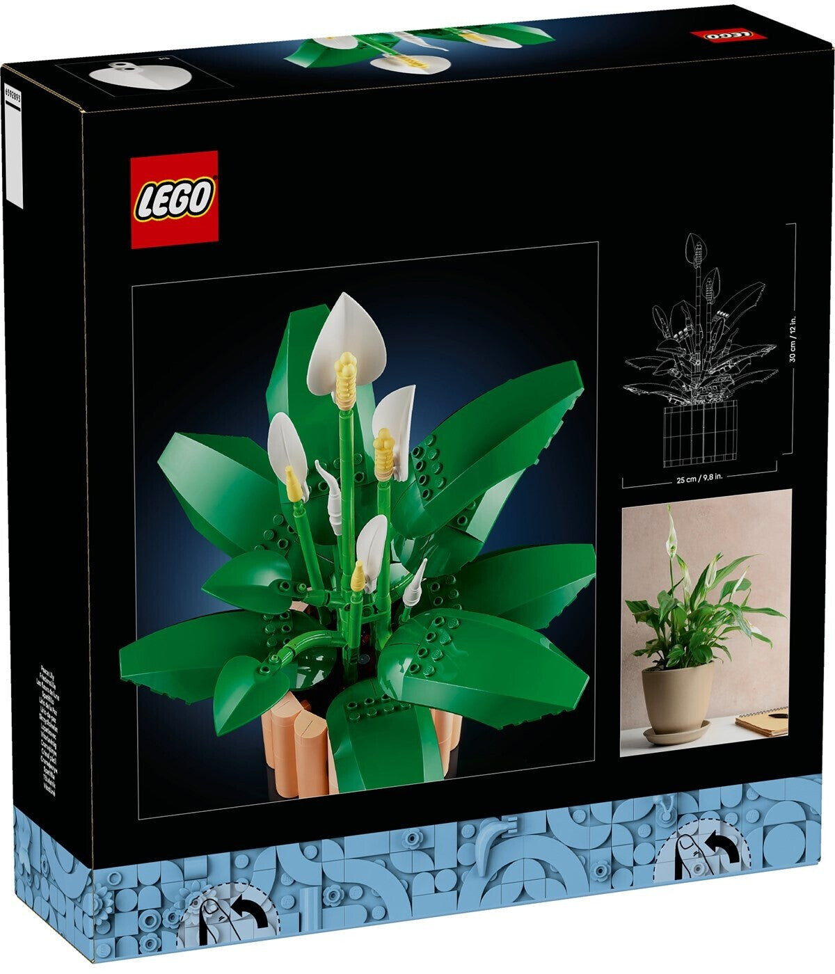 Botanicals Friedenslilie