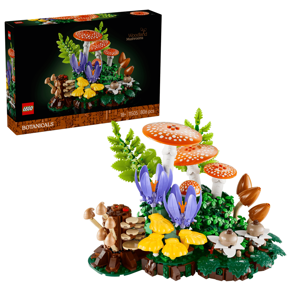 Botanicals Waldpilze