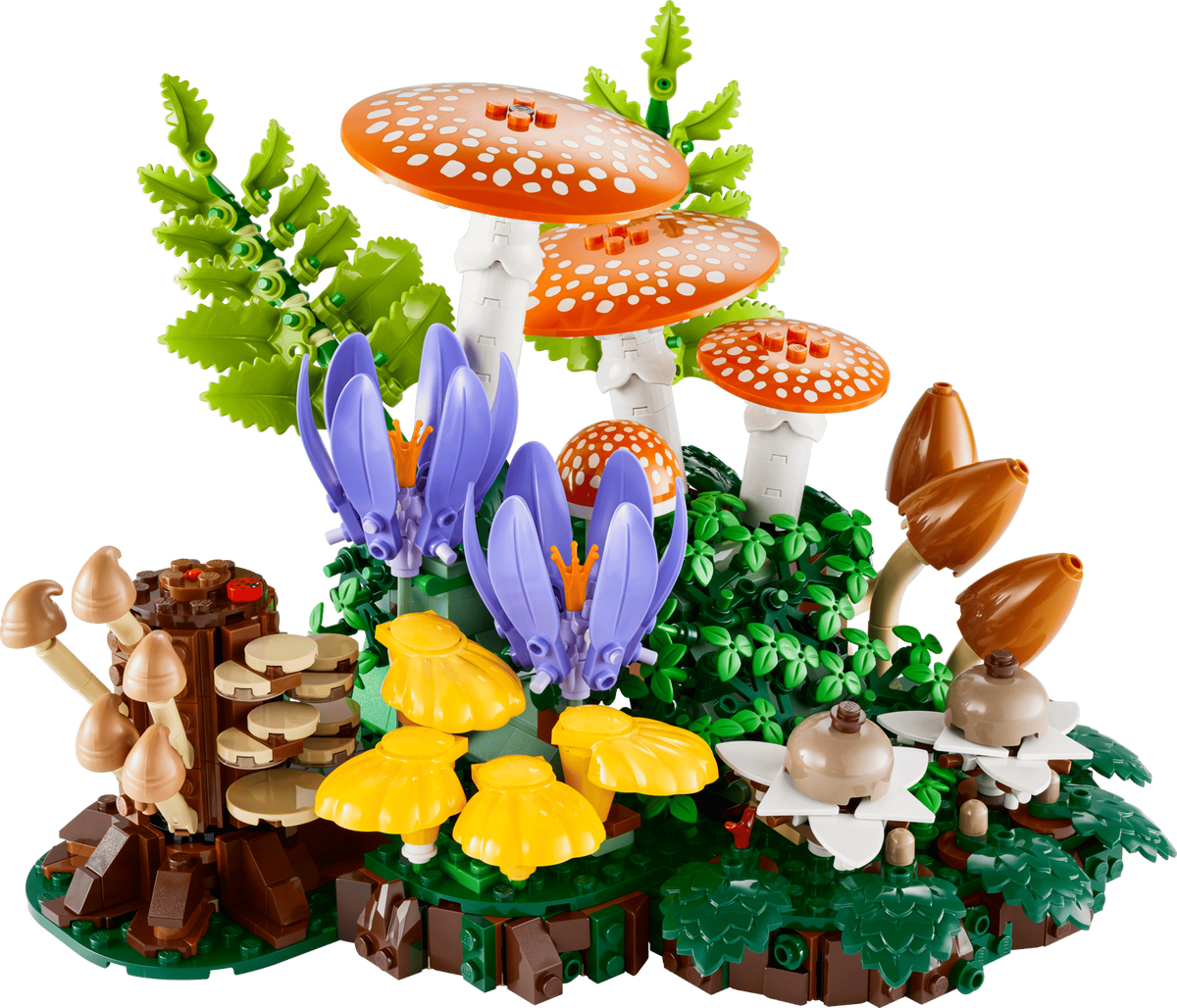 Botanicals Waldpilze