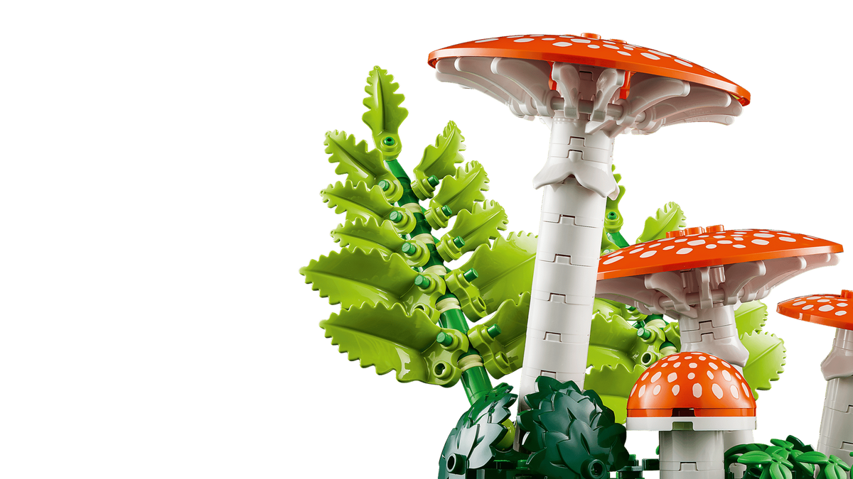 Botanicals Waldpilze