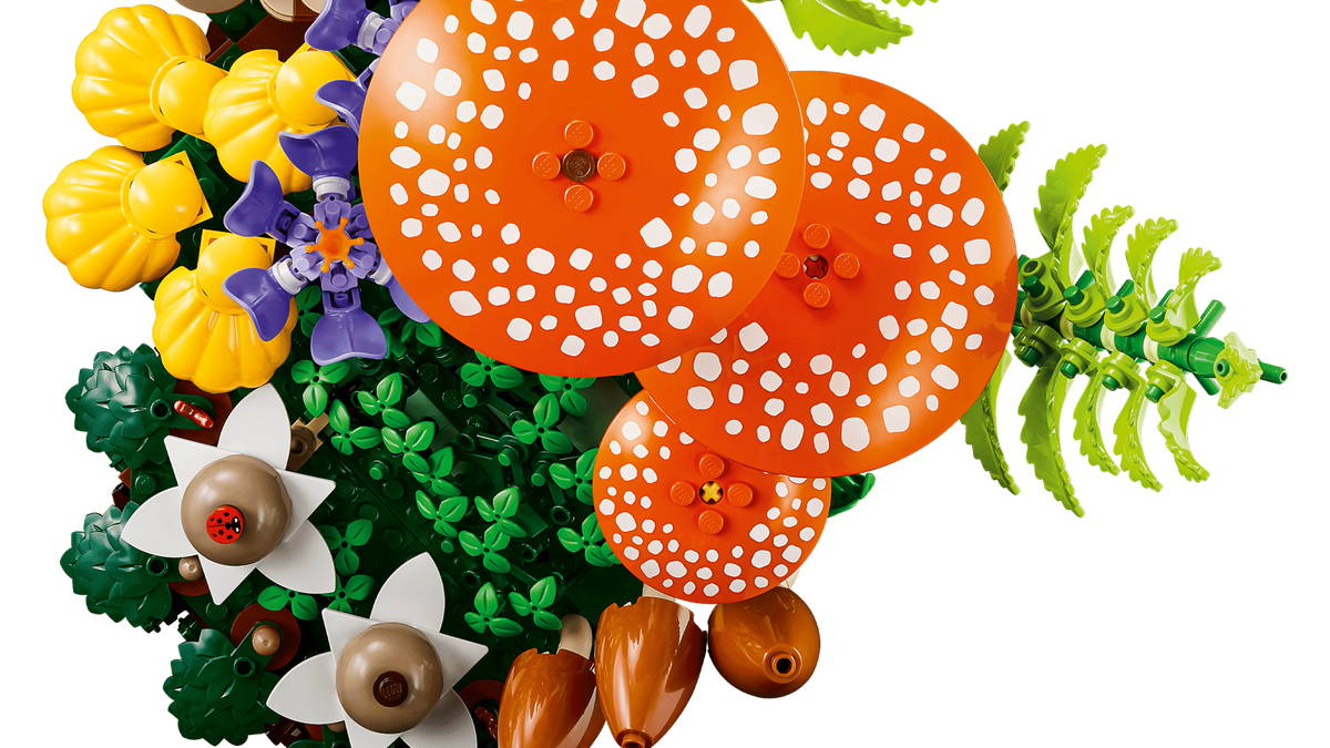 Botanicals Waldpilze