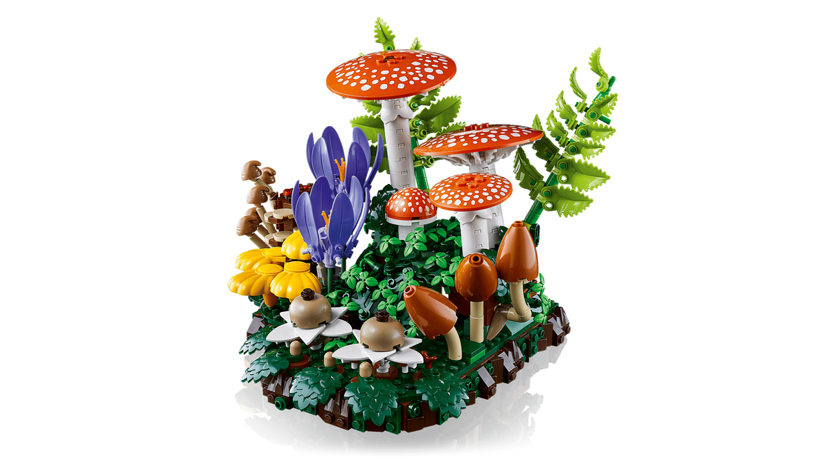 Botanicals Waldpilze