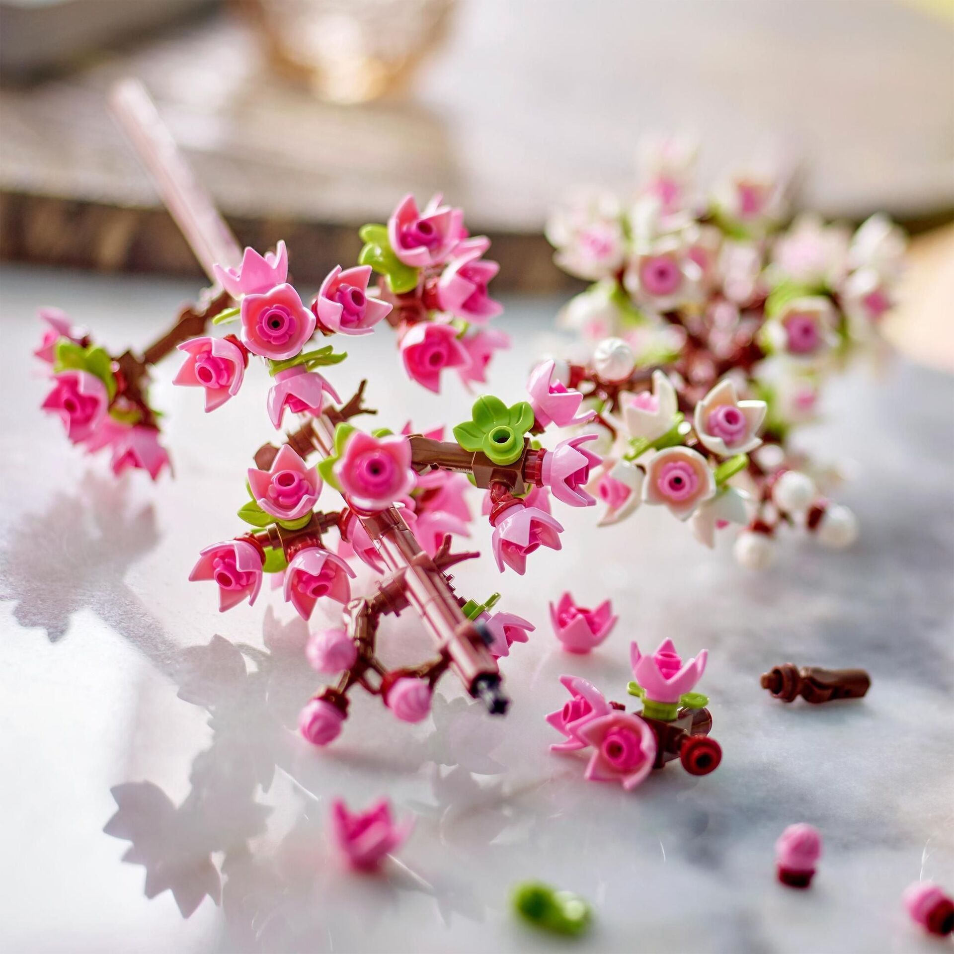 Creator Kirschblüten