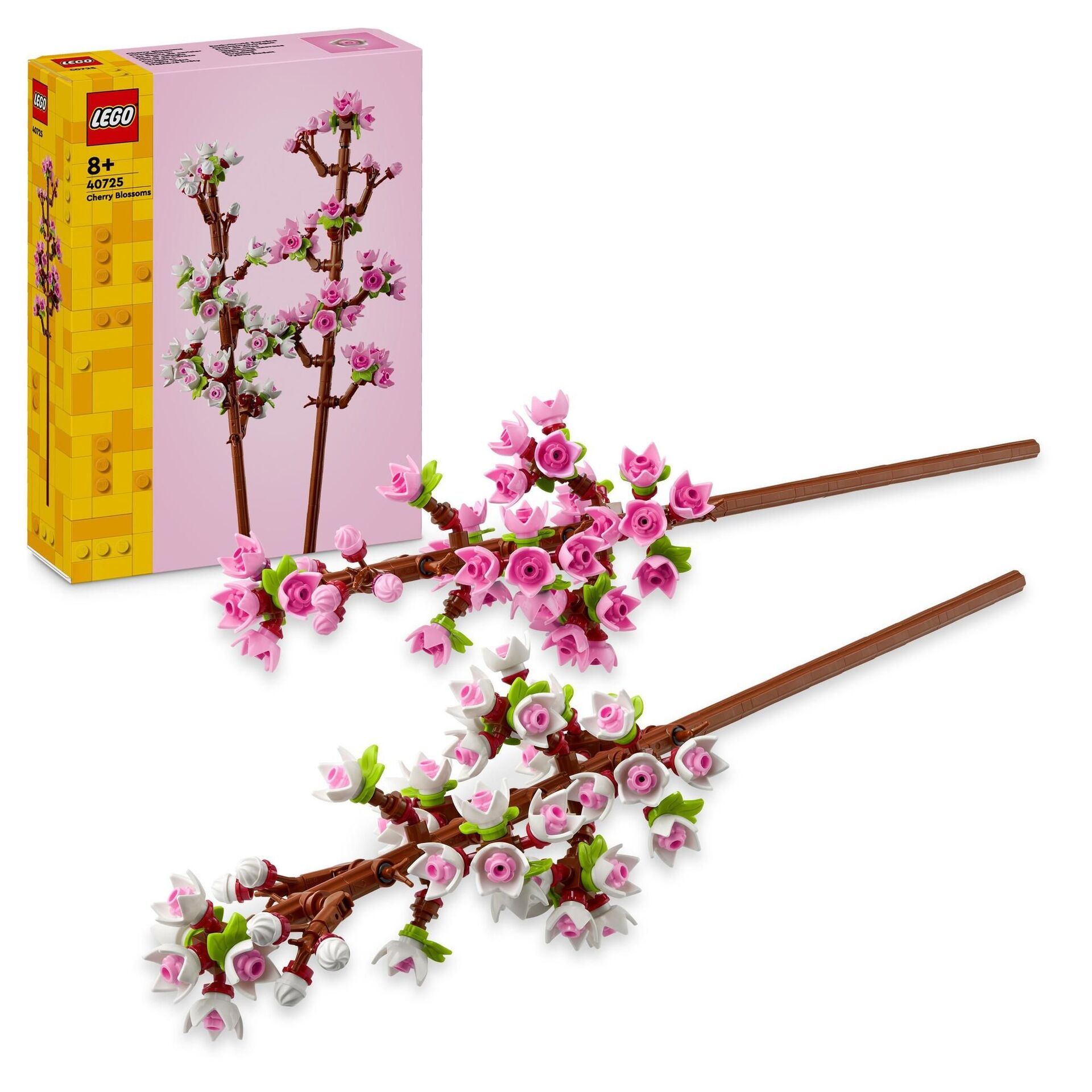 Creator Kirschblüten