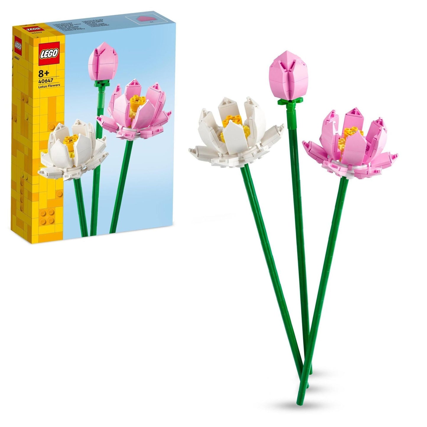 Creator Lotusblumen