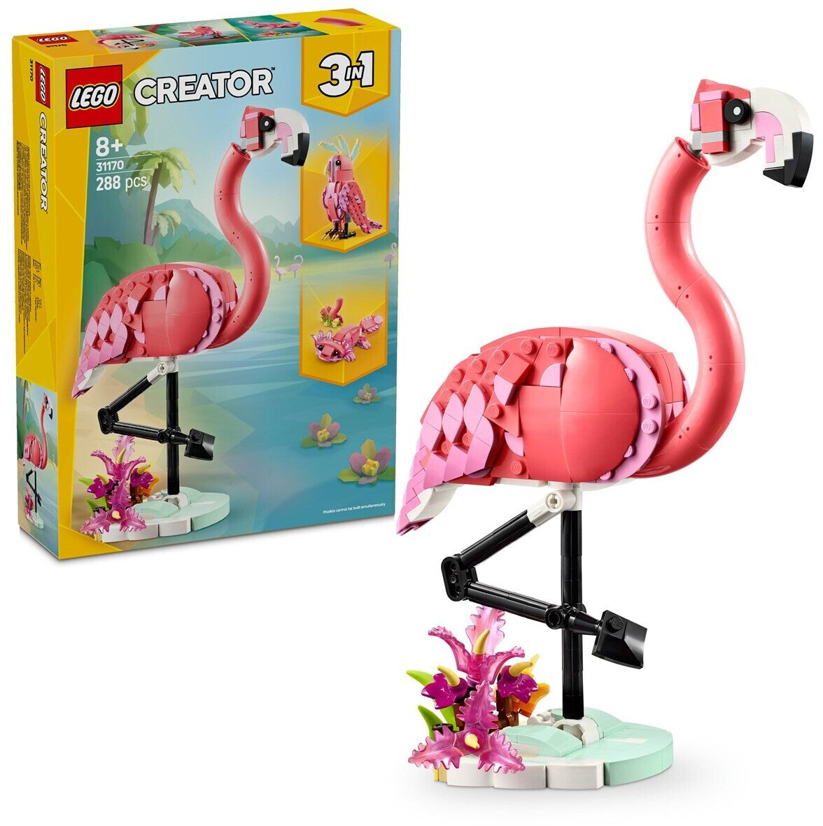 Creator rosa Flamingo