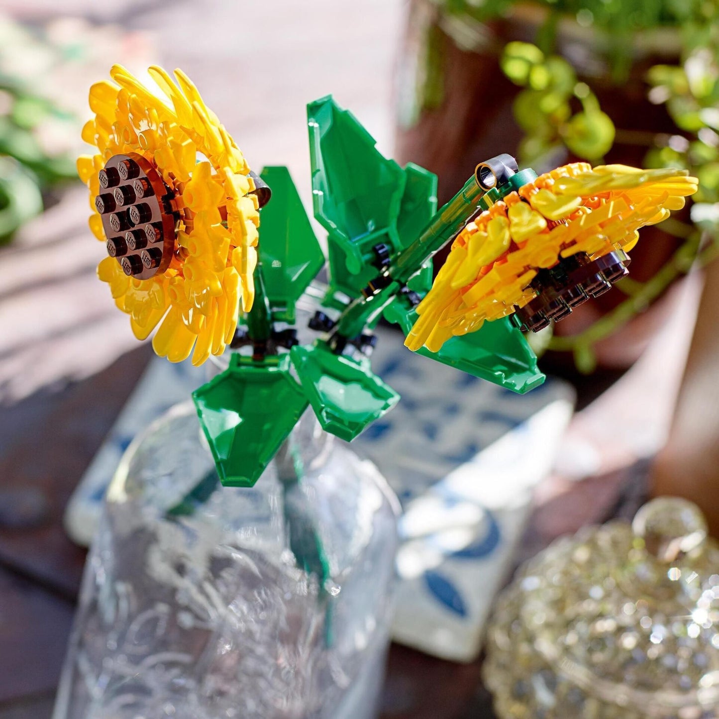 Creator Sonnenblumen