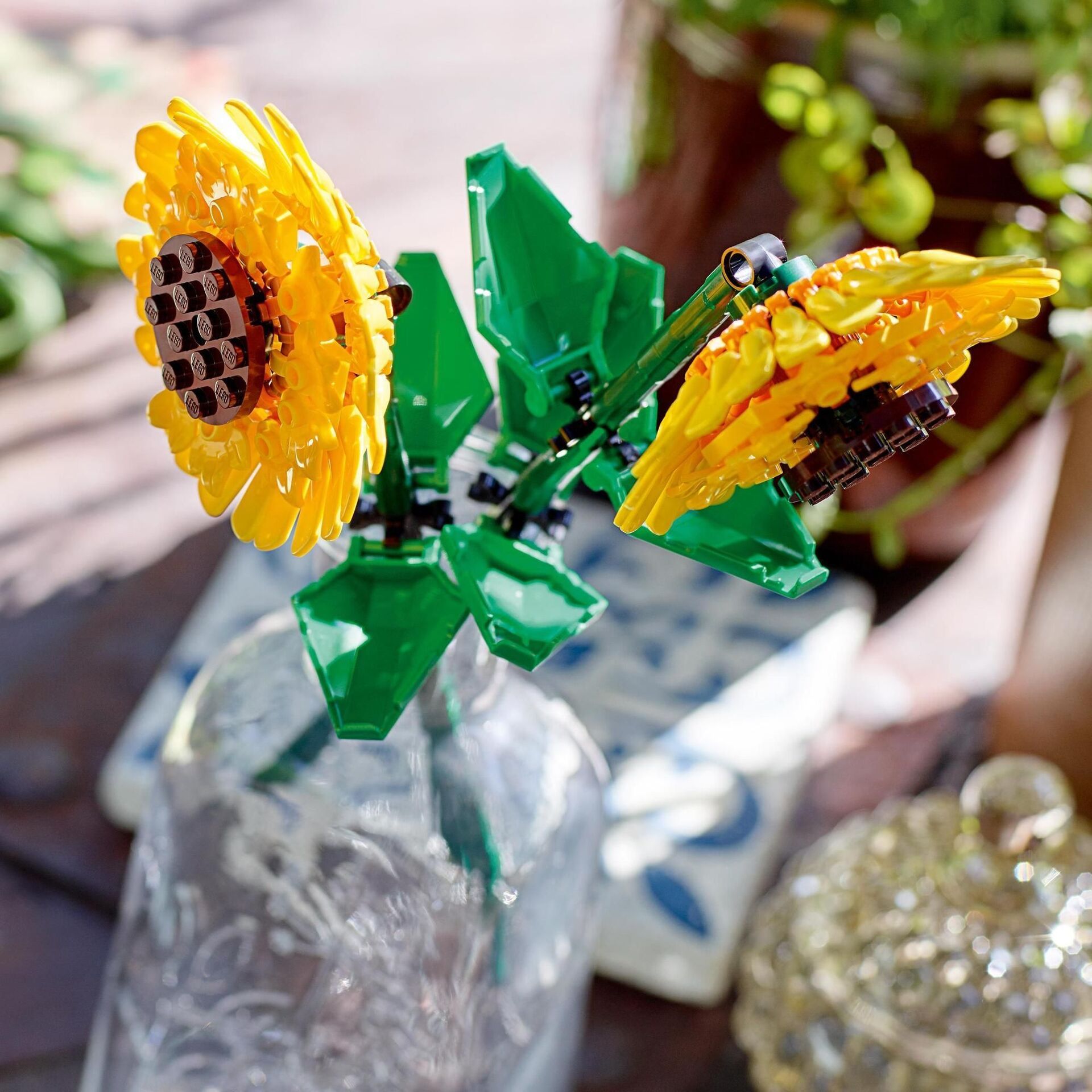 Creator Sonnenblumen