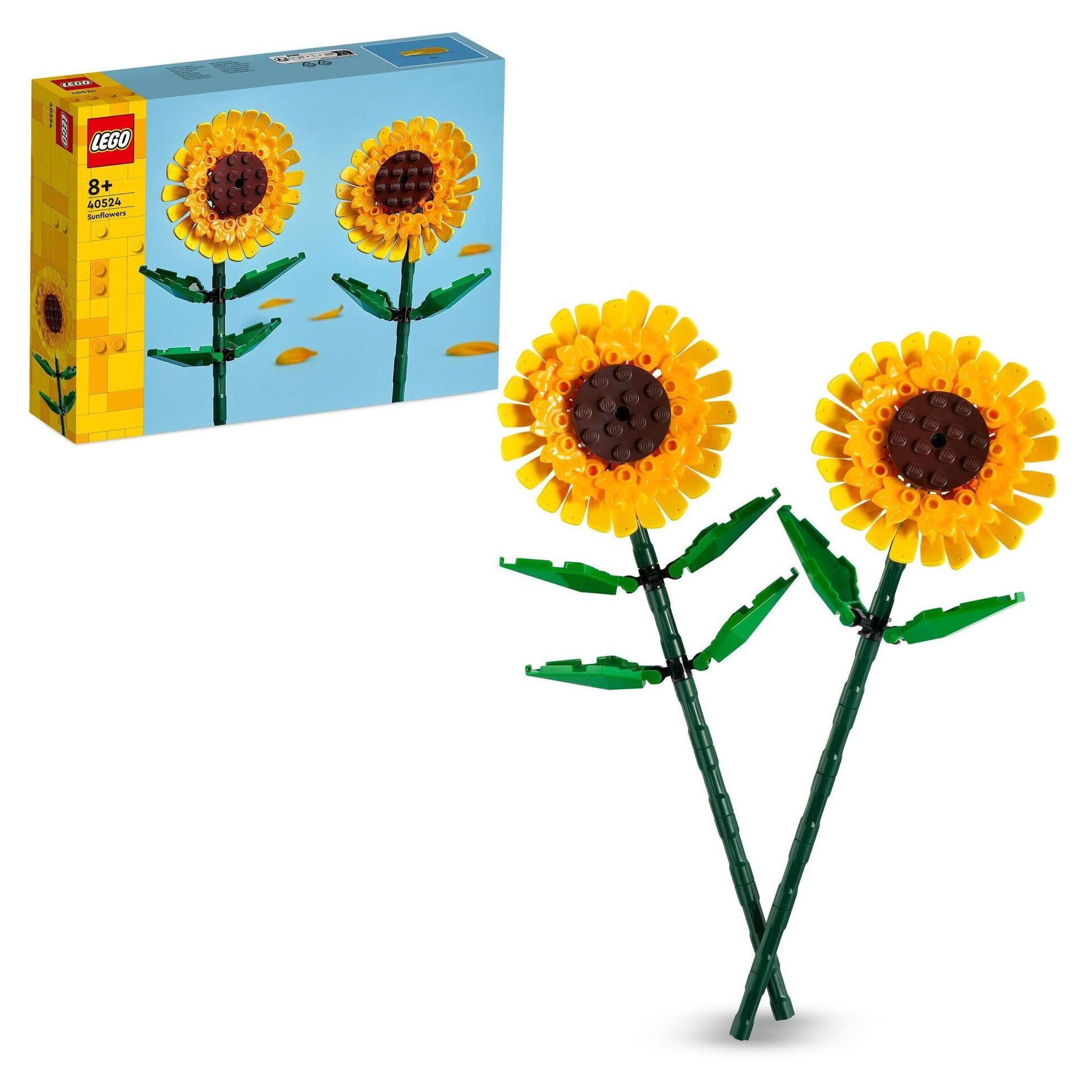 Creator Sonnenblumen