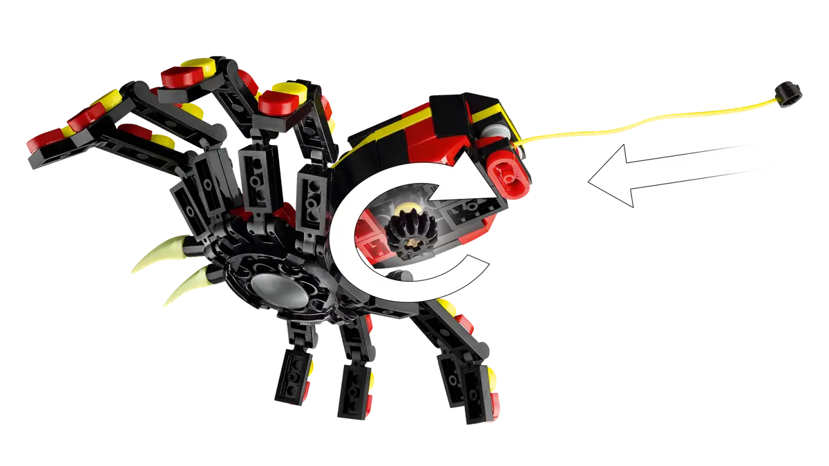 Creator Wilde Tiere: Überraschungsspinne