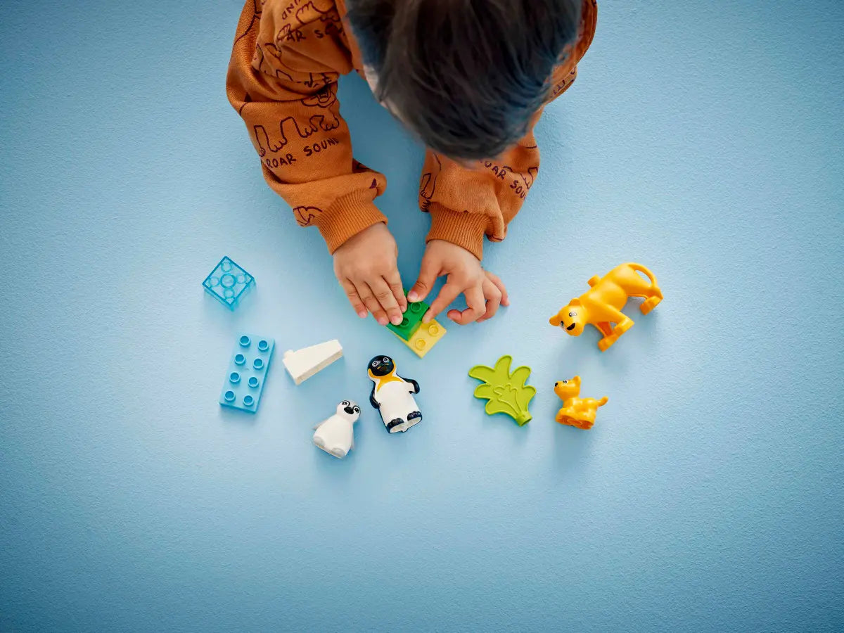 Duplo Wildtier--Familien: Pinguine und Löwen