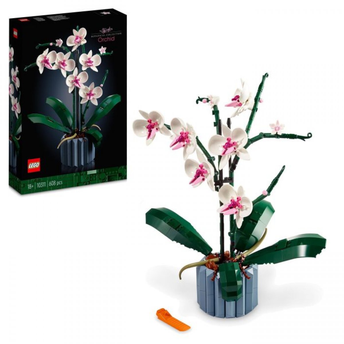 Creator ICONS Orchidee