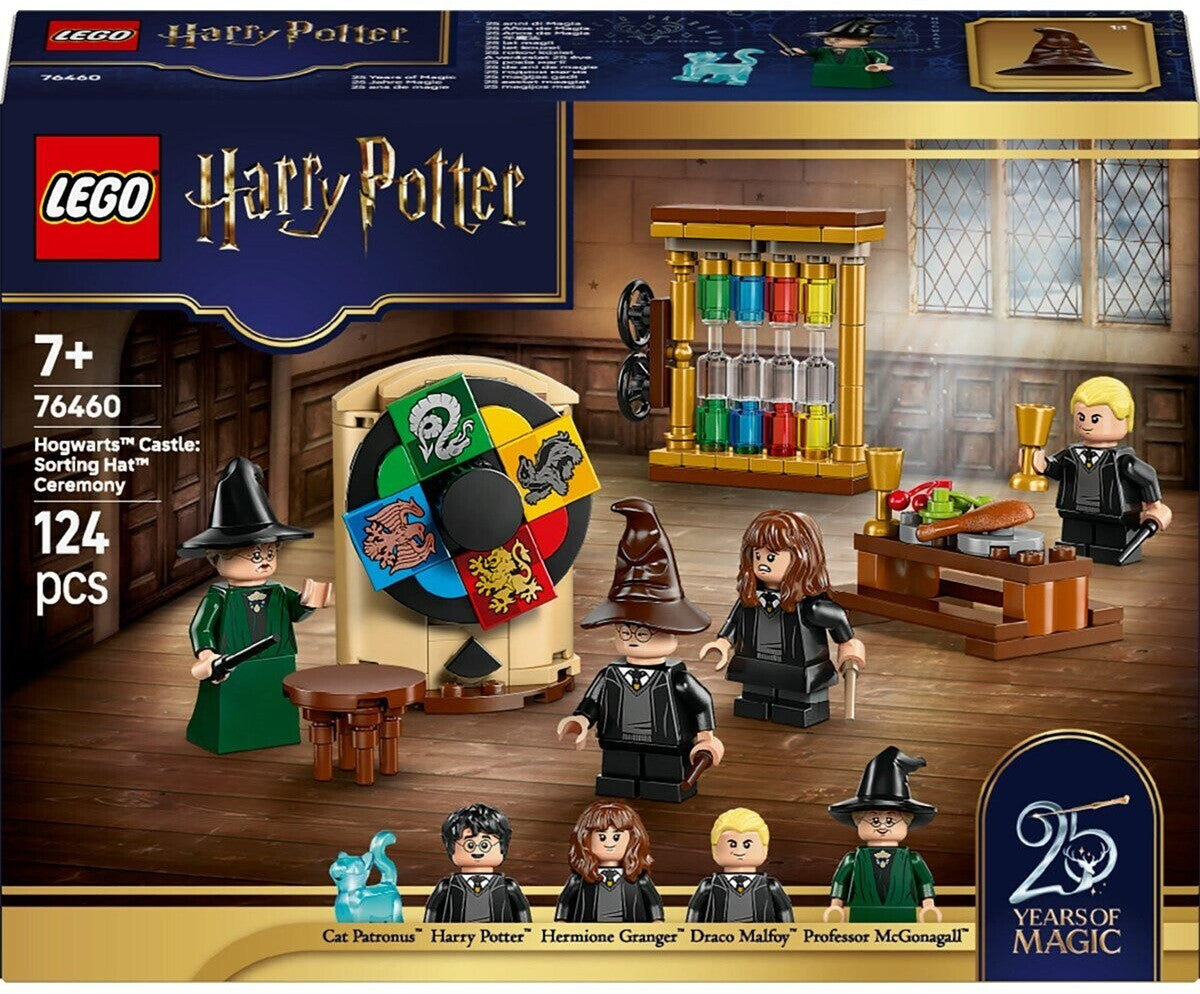 HP Schoss Hogwarts Auswahlzezemonie m
