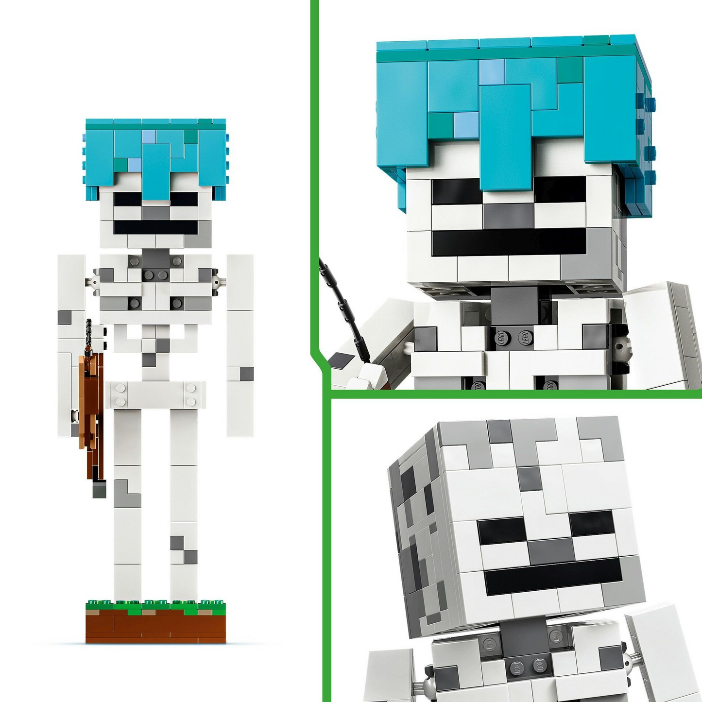 MCR Das Skelett